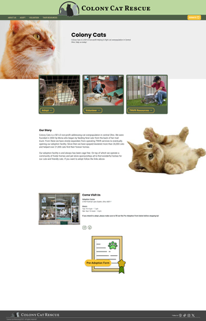 Colony Cats homepage mockup