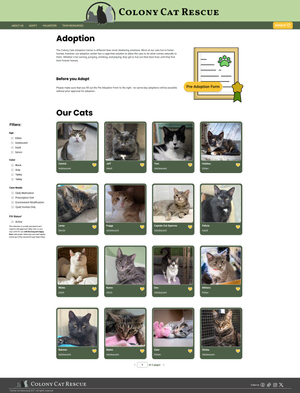 Colony Cats Adoption page showing a grid of adoptable cats with options for filtering the cats shown